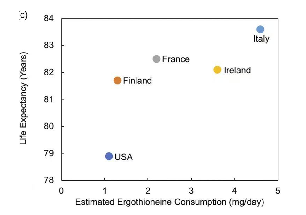 Scatter plot of ergothioneine consumption and life expectancy, where higher intake correlates with longer lifespan across countries.