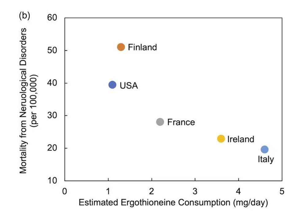 Graph comparing ergothioneine intake with mortality from neurological disorders, showing lower risk at higher intake levels.