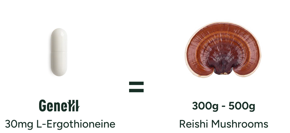 How Much L-Ergothioneine Should You Take? Based on Clinical Data