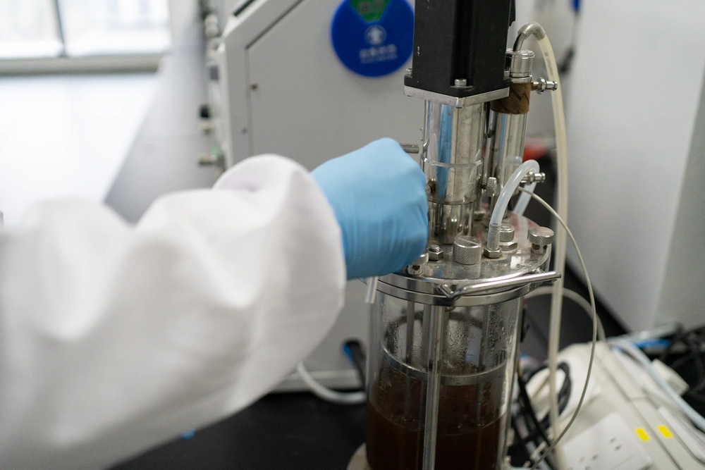 Scientist in lab gloves operating a fermentation bioreactor