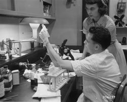 Archival photo of scientists conducting early ergothioneine research