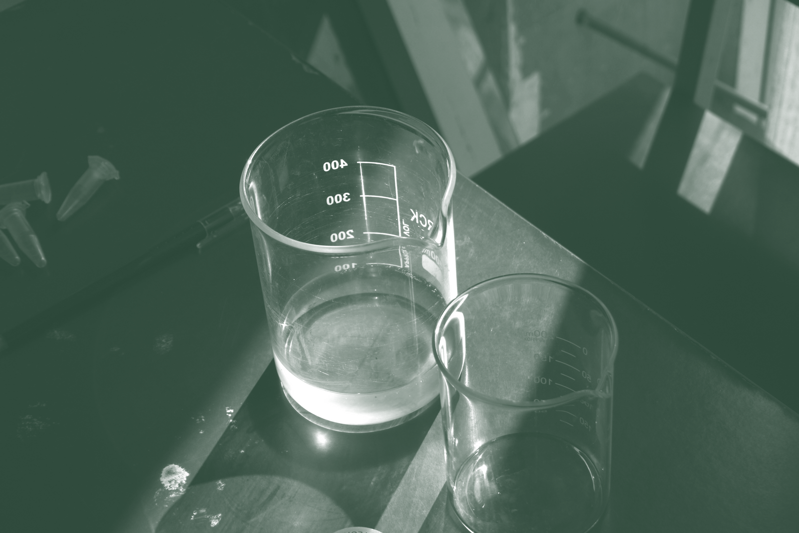 Glass beaker of purified L-ergothioneine solution on a laboratory bench