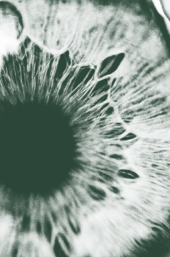 Close-up of a human eye