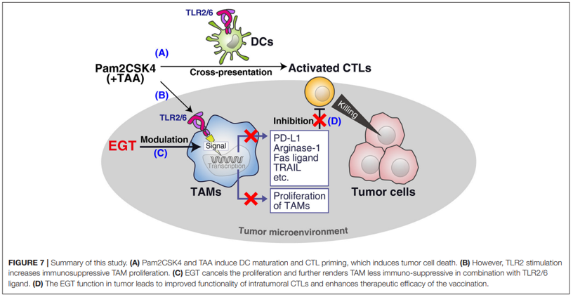 Cancer Treatment